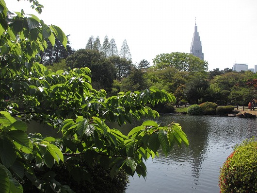 b0145863_8432225.jpg