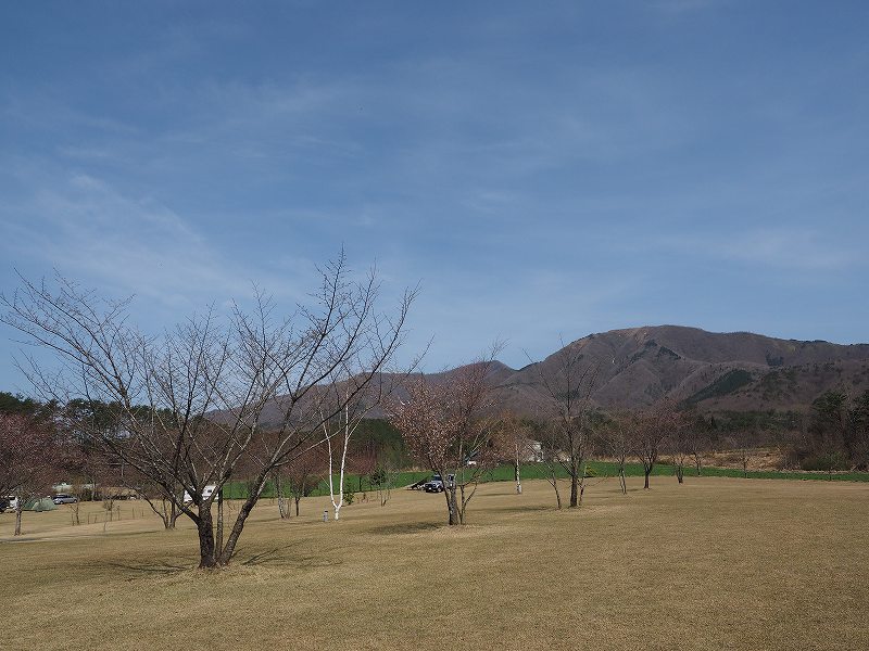 d0128465_8563753.jpg