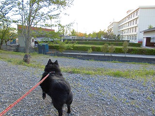 e0002466_18423990.jpg