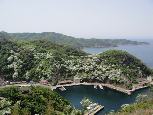 f0207669_13505227.jpg