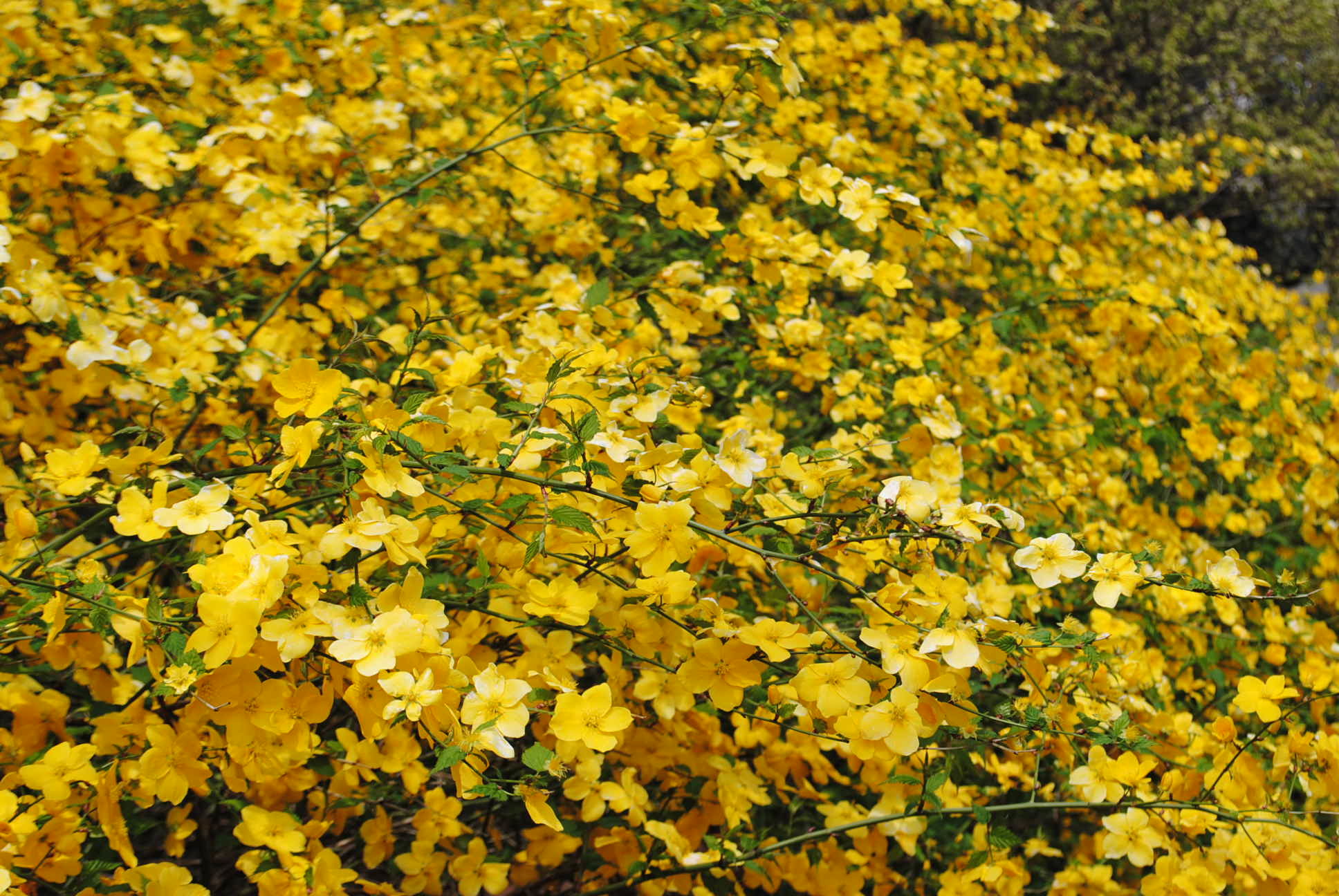 b0242873_00544738.jpg