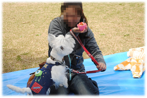 b0242873_01573053.png