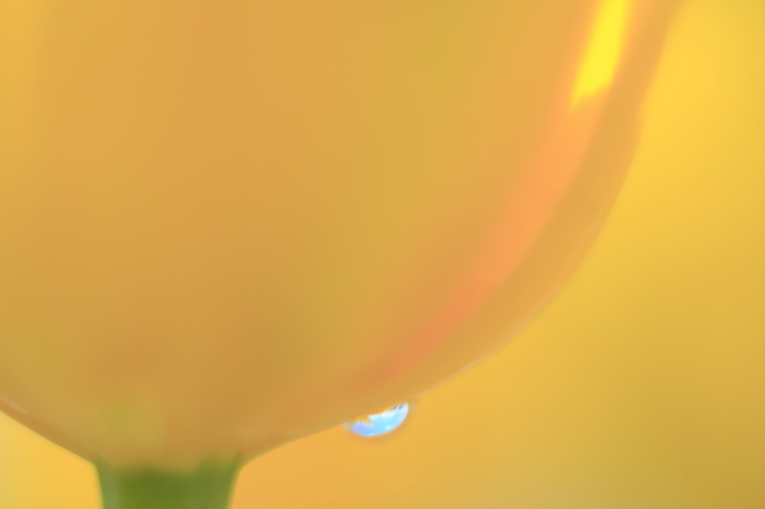 c0268775_00522894.jpg