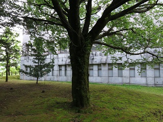 e0130185_19285787.jpg
