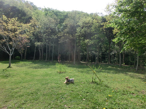 e0123587_21164348.jpg