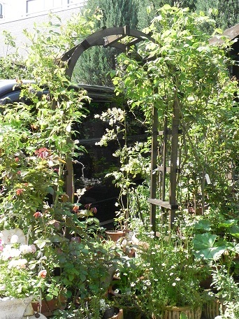 c0152002_21442702.jpg