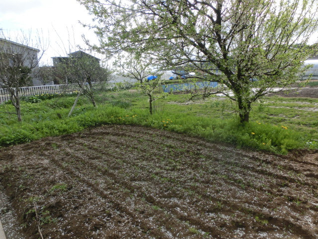 a0203003_17372850.jpg