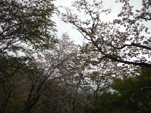 b0326303_15571041.jpg