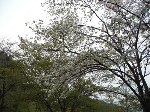 b0326303_17175053.jpg