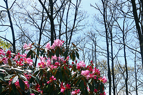 b0014607_20211379.jpg
