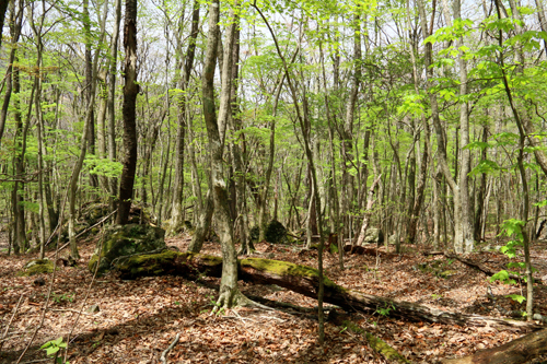 b0014607_20314735.jpg