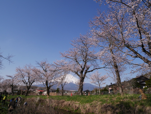 f0302208_23202319.jpg