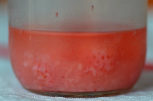 e0328909_13591775.jpg