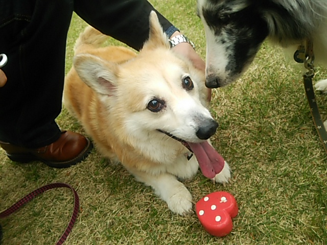 c0150520_1544233.jpg