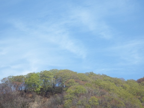 f0118332_22113524.jpg