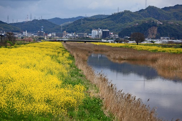 a0242438_19442462.jpg