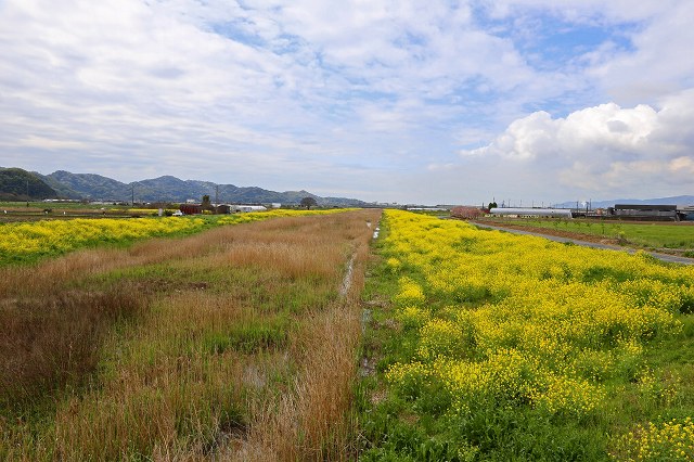 a0242438_19444294.jpg