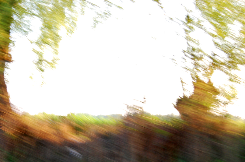 d0018646_2339925.jpg
