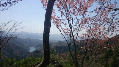 b0148050_8121765.jpg