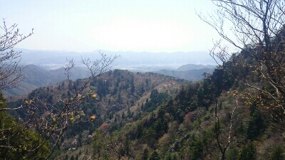 b0148050_8131599.jpg