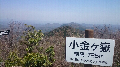 b0148050_813299.jpg
