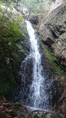 b0148050_8153815.jpg