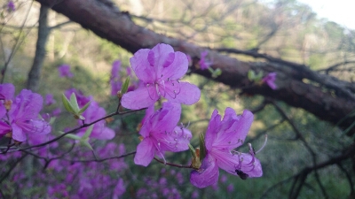 b0148050_8163931.jpg