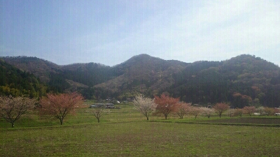 b0148050_894284.jpg