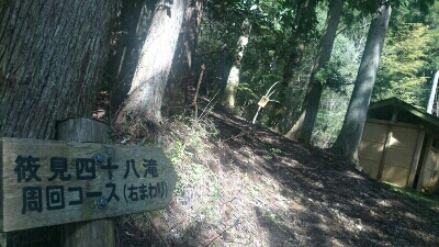 b0148050_895764.jpg