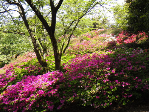 c0179351_23113759.jpg