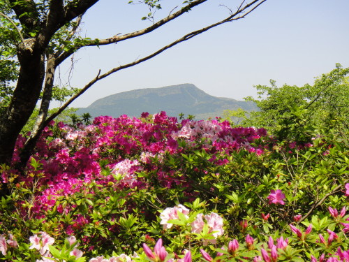 c0179351_2312325.jpg