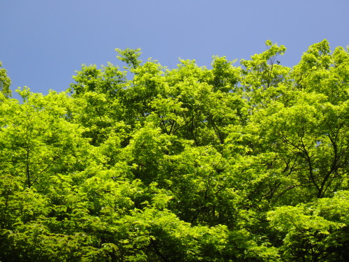 c0179351_23162216.jpg