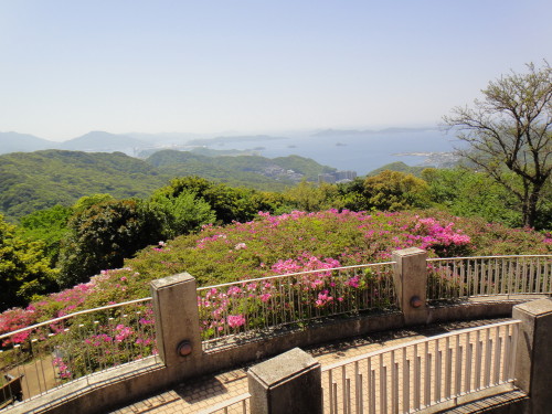 c0179351_2317536.jpg