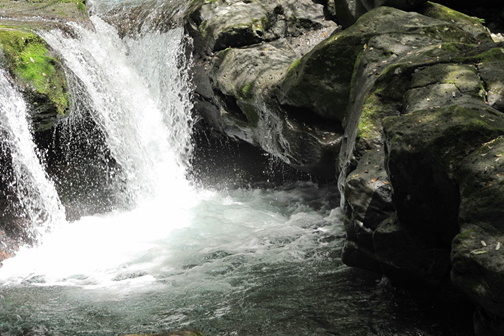 e0201060_20011583.jpeg