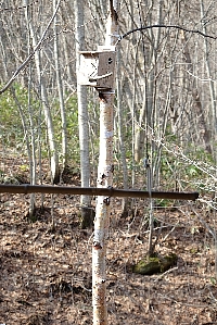 f0035962_9422045.jpg