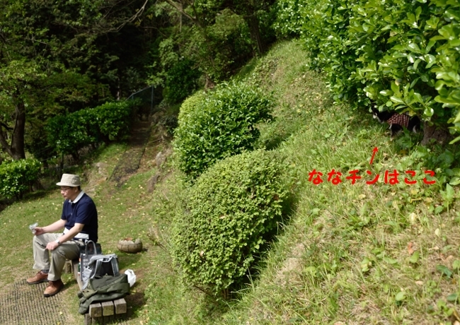 f0065768_21524101.jpg