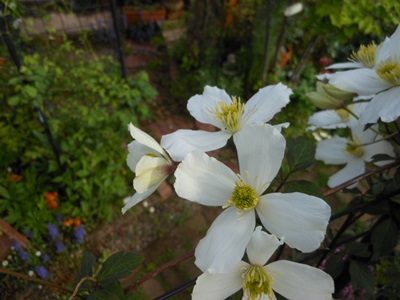 b0096584_21273670.jpg