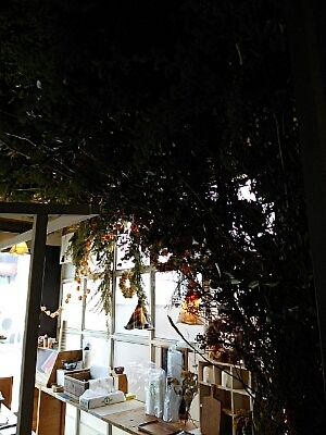 b0163088_13251349.jpg