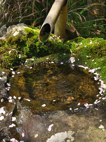 d0026589_2101214.jpg