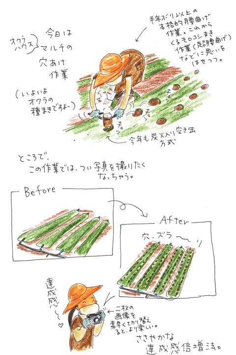 f0236291_6382625.gif