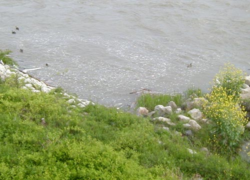 d0053294_0582423.jpg