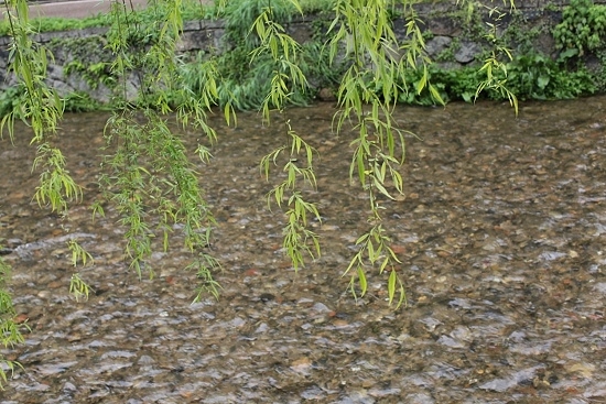 e0209997_1215385.jpg