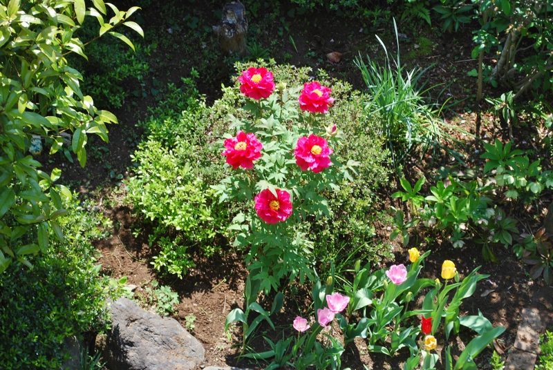 e0025300_16265195.jpg