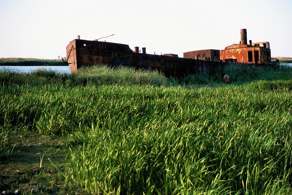 c0072801_013035.jpg