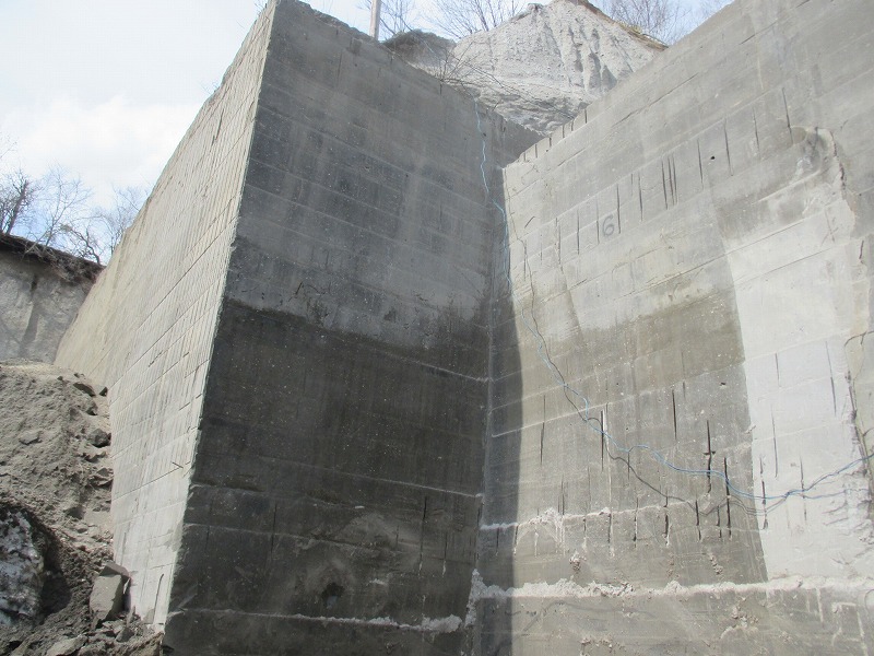 f0202703_2312713.jpg