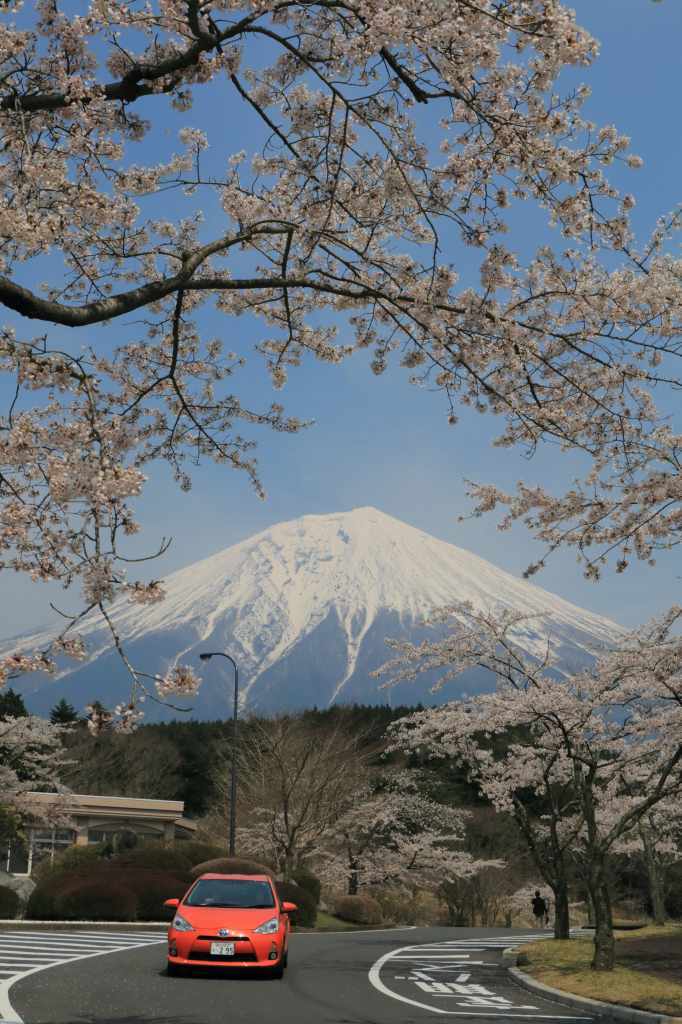 a0188405_21161420.jpg