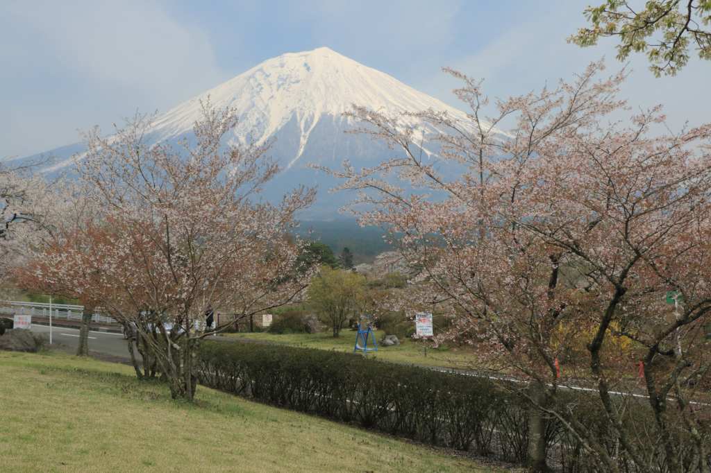 a0188405_21192310.jpg