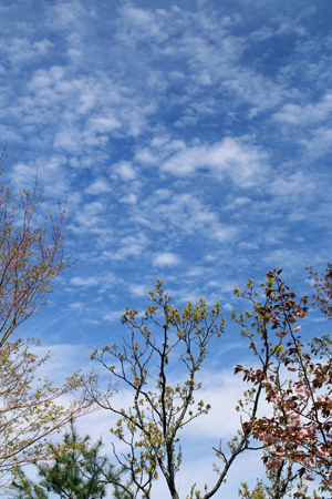 b0014607_21401513.jpg