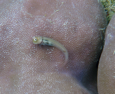 d0298808_1834632.jpg