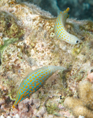 d0298808_1837503.jpg
